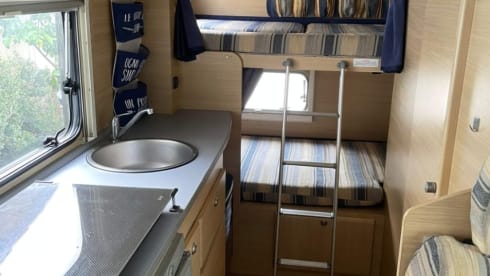 Flora madaluno – Fabiograsso2018@gmail.com