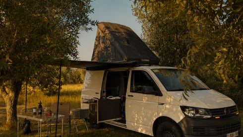 The white nomad – 3p Volkswagen rooftop