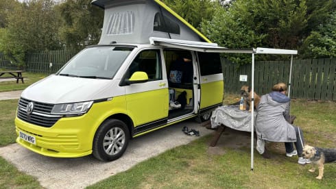 Sunshine  – 4berth T6.1 VW. Insurance included.