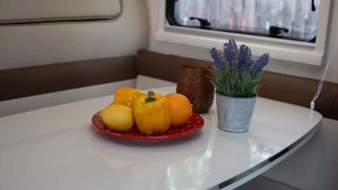 Franky – Rent Me:)