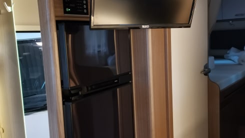 Sven – Carado i447