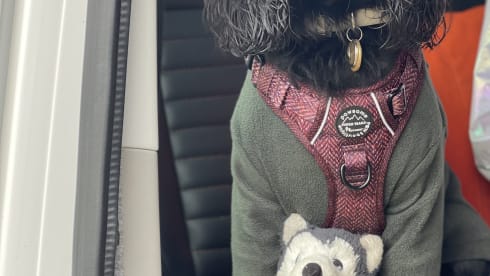 Nessie – VW T6 Campervan