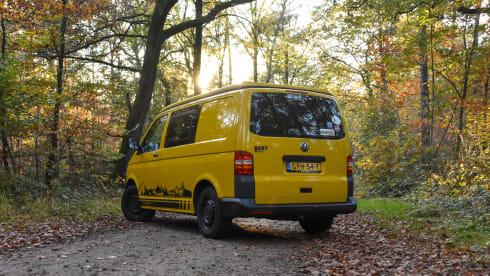 Bert – 4p Volkswagen campervan 