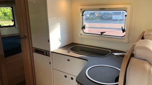 Mik – Bustner Delfin