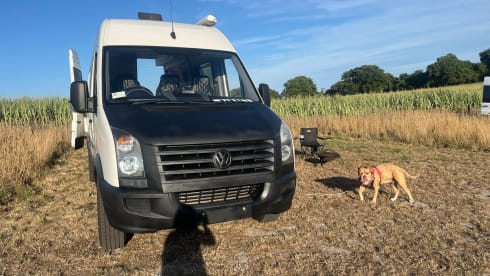 Vicki the Vdub – 2 berth Volkswagen bus from 2016