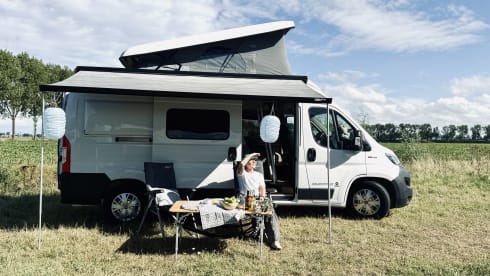 Bennie – Bennie: Fiat Campervan (Automatic) - Pet Friendly - 4 Persons