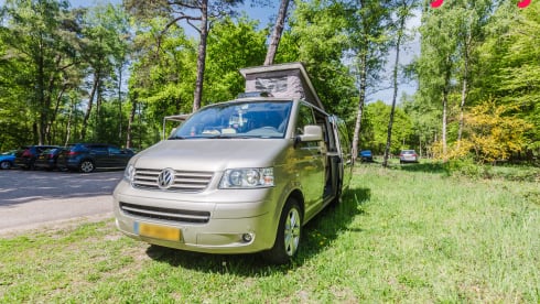 Alice The Van – Künstlerischer Dschungelcamper