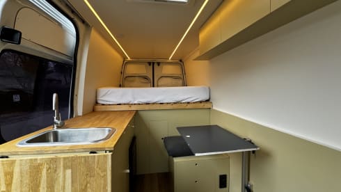 2-person Mercedes-Benz bus from 2008