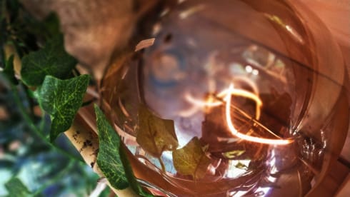 Kermit – On an adventure with our fantastic Kermit the bus camper!