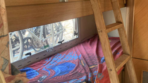 Giorgio Menozzi – Prof.