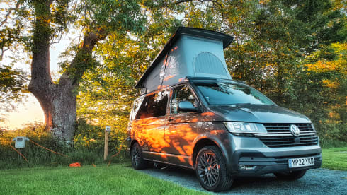 Colin – 2022 VW T6.1 Campervan. 4 Berth. Dogs allowed
