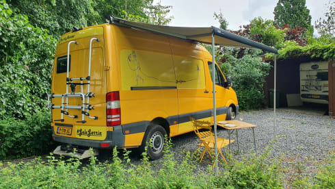 Gele Gerrie – Nothing is too crazy in this luxurious cat! Underfloor heating, coffee or a glass of wine?
