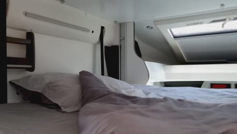 4p Benimar Cocoon 463