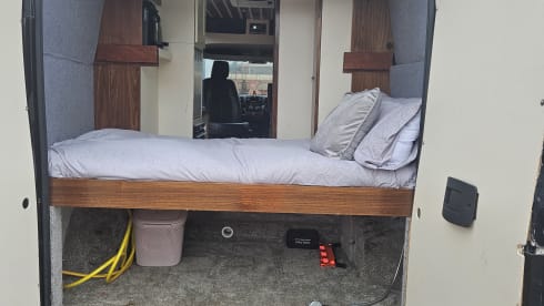 Jenny Wren – Mr DGB