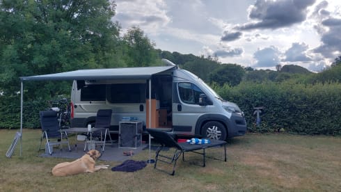 2p Pössl bus from 2016