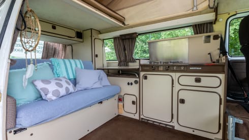 Goboony Camper – The only real Goboony camper