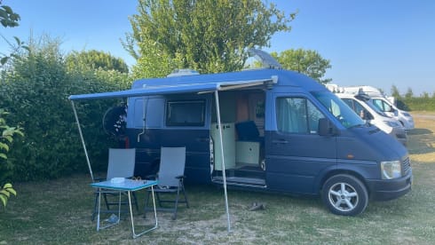 Ollie – 2p Volkswagen bus from 2004
