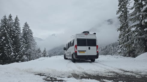 The Fox new overlander  – 2p Sunlight bus from 2025 brand new 