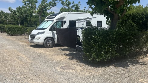 Blue – 4 berth Fiat semi-integrated from 2019