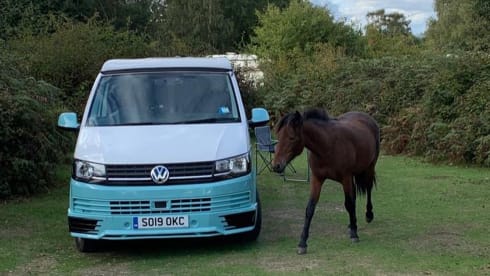 Annie – 2019 Volkswagen T6 FULLY EQUIPPED Campervan!