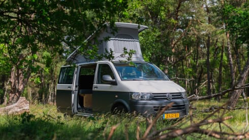 Binkie – Unique and durable Volkswagen Transporter