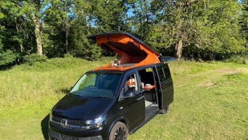 Trevor – VW Campervan 