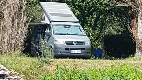 Big Al – Big Al, VW Campmobile, super cozy