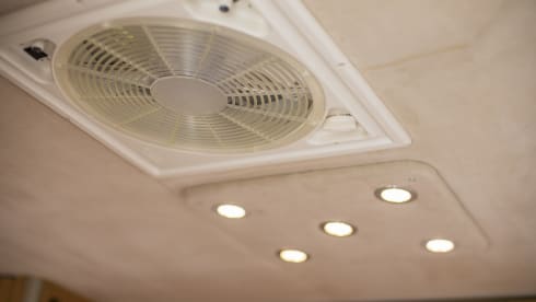 Sangria – Walking with Sangria!