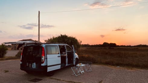 Vito Mercedes Benz 111 cdi