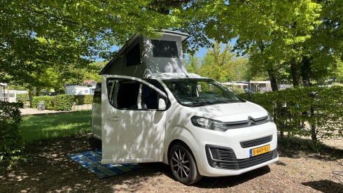 vrijheid blijheid – 4p extended Citroën campervan from 2017 