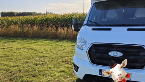 4p Chausson semi-integrated uit 2022