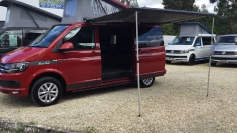 Monte – Machen Sie Erinnerungen, die für immer bleiben