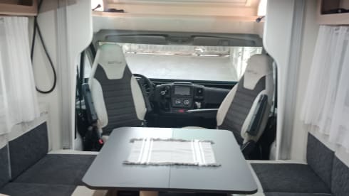 Gian – Giottiline Siena 350