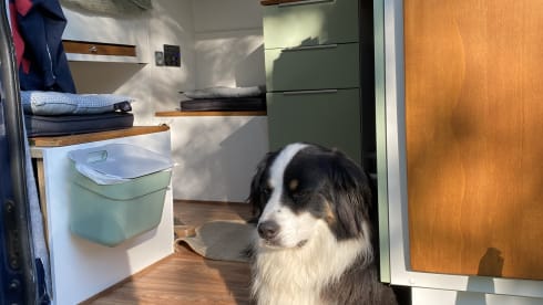 Jack (hit the road) – 2p Ford campervan uit 2010