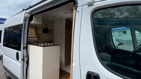 Freedom – Loving self-development