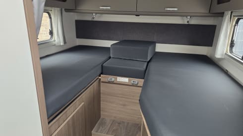Black – Carado T338 Édition 24 AUTOMATIQUE
