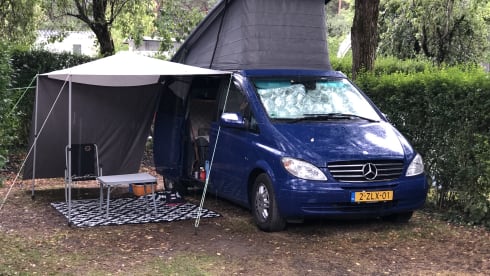 Mijn Bussie – 4-sitziger Mercedes-Benz Bus ab 2026