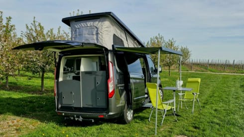 Ford Karmann Duncan 545