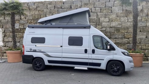 4p Fiat bus from 2022