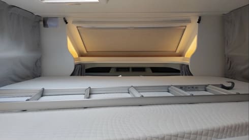 Clyde – Clyde – The stylish one for big dreams