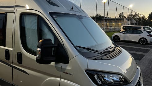 4p Fiat bus from 2018