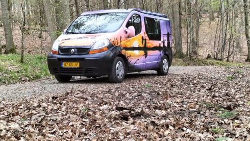 Holland – Holland
