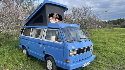 T3 – Rent a Campervan Blue CLassics ‘s Volkswagen