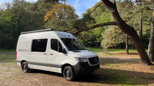 3p Mercedes-Benz bus from 2018