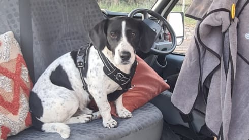 Mr Explorer – Unique 4 berth (2 adults/ 2 children) medium wheel base transit conversion