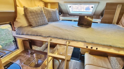 Roadie – Campignon Rimor Evo 66 Plus 2022