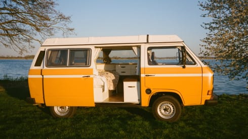 ALLIE – Volkswagen T3