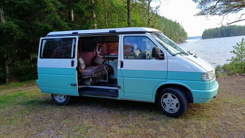 Jente – 4p Westfalia T4 campervan with lifting roof