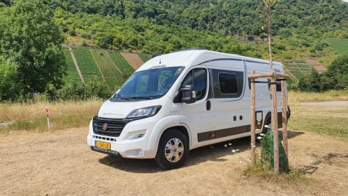 ROAD cruiser B – 2p Fiat bus from 2020