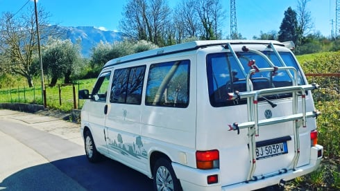 Calì  – Salento in a T4 California Coach van
